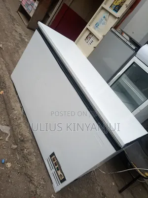 Commercial Deep Freezer