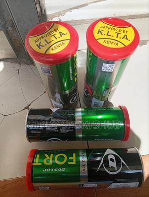 Dunlop Fort - thumbnail 2