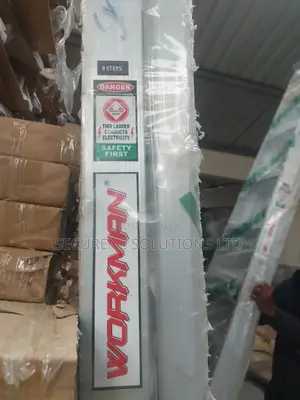 9 Step Workman Ladder