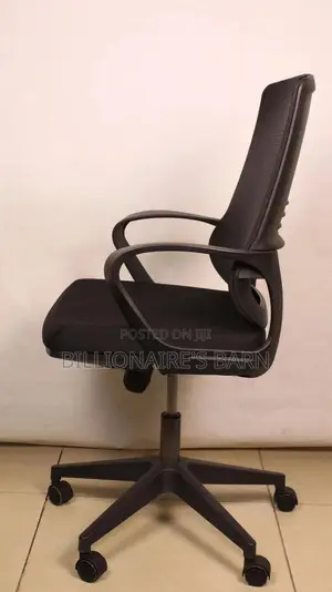 Astro Lift Mesh Chair
