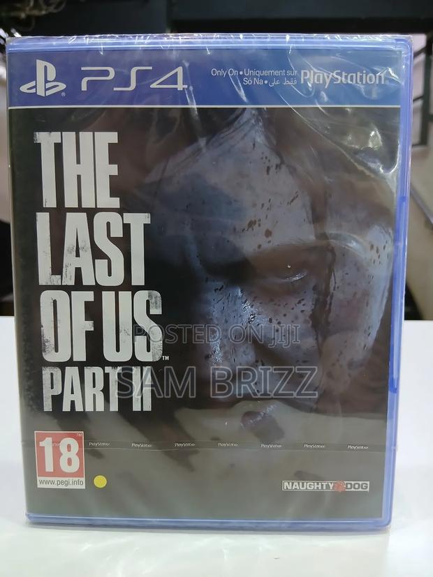 Last of Us Part 2 Ps4 - main view
