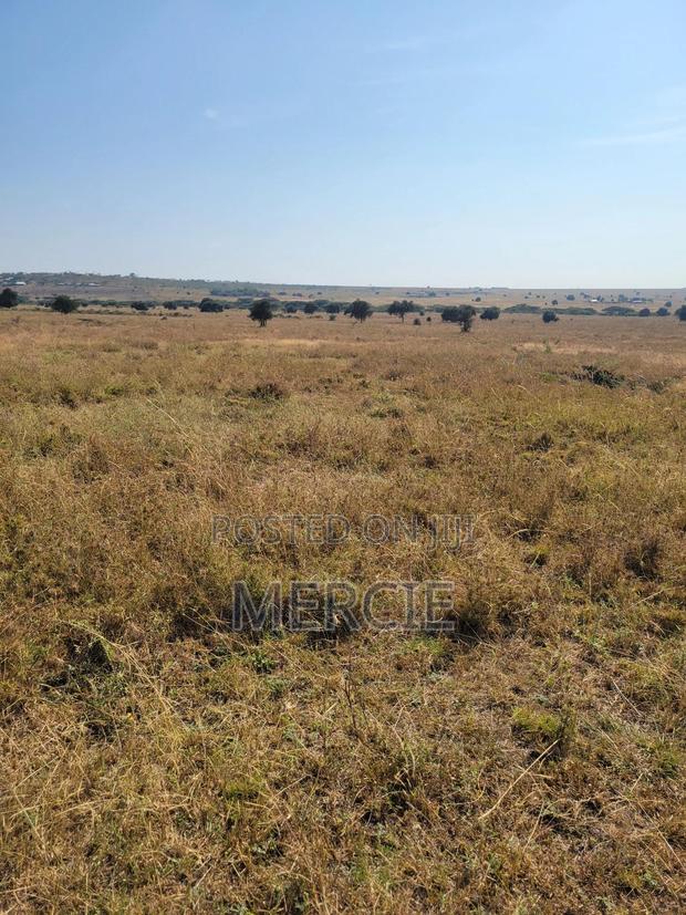 Beautiful Isinya Land for Sale - thumbnail 4