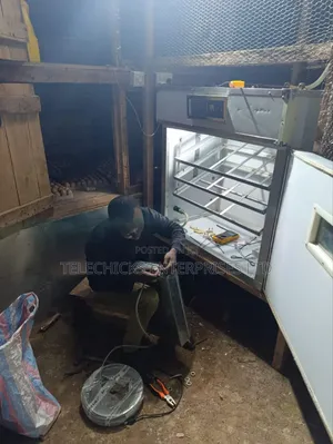 Egg Incubator Repair
