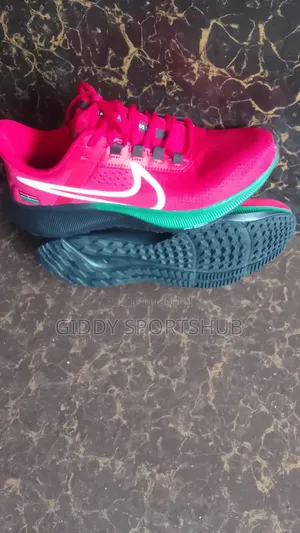 Zoom Pegasus 38