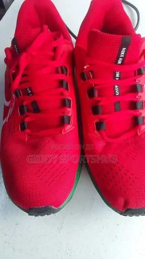 Zoom Pegasus 38