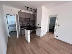 1bdrm Apartment in Tatu City, Old Junction for rent
