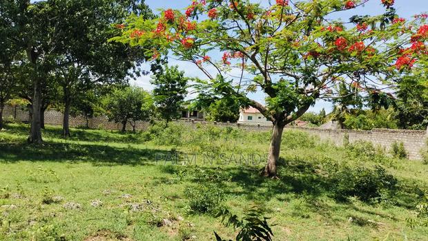 Half Acre Prime Land on Sale in Diani Kongo River Area - thumbnail 4