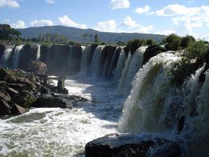 Kilimambogo - Kituluni – 50×100, Ready Titles - thumbnail 2