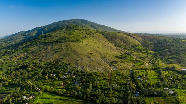 Kilimambogo - Kituluni – 50×100, Ready Titles - thumbnail 3