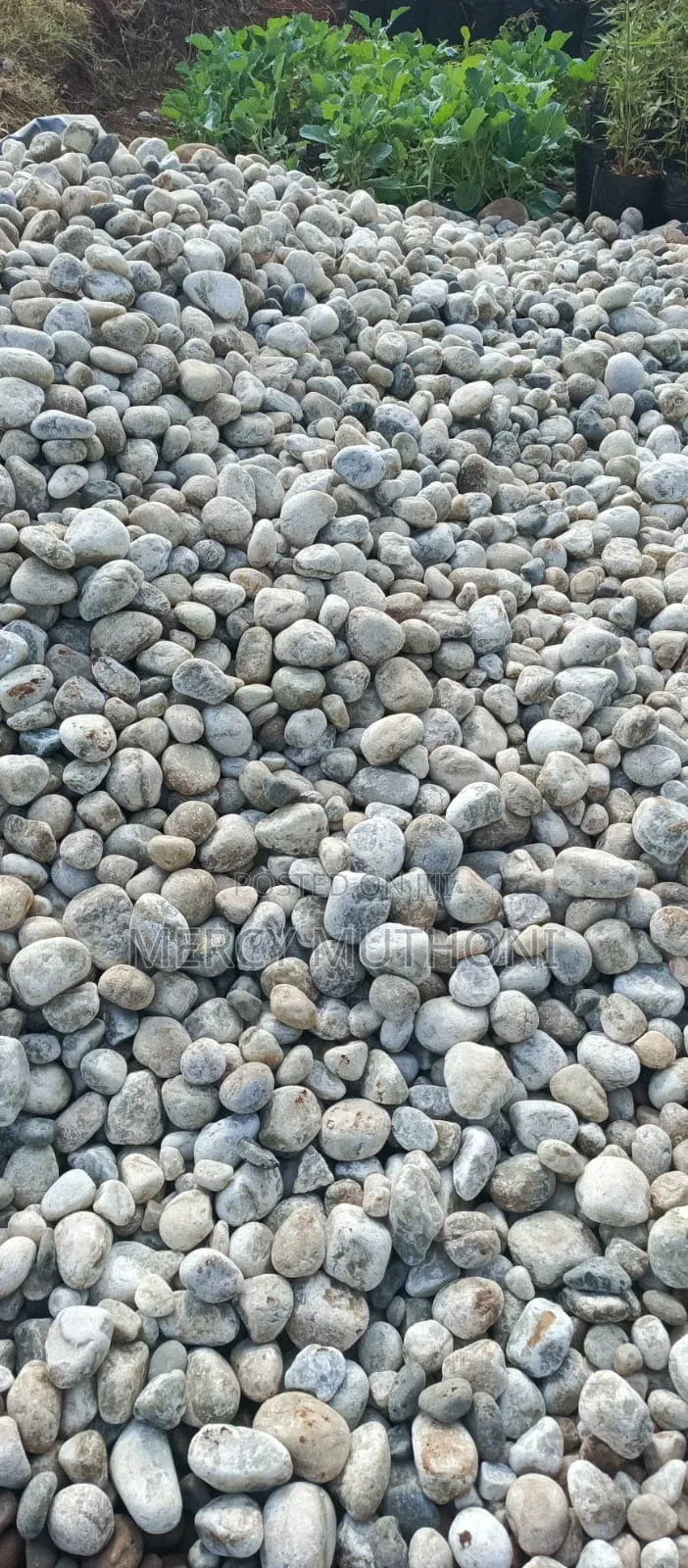 River Stones and Pebbles