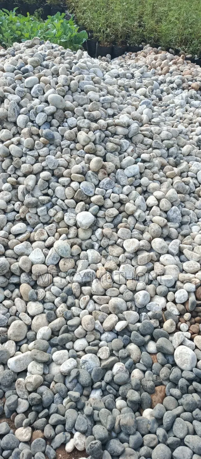 River Stones and Pebbles