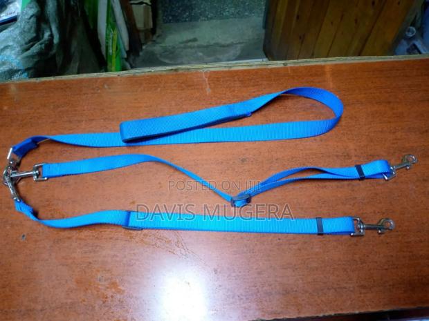 Two-Dog Adjustable Coupler, Double Dog Leash Coupler - main view