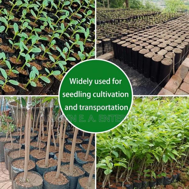 Seedlings Bags For All Trees Avocado, Coffee, Tea, Mango Etc - thumbnail 12