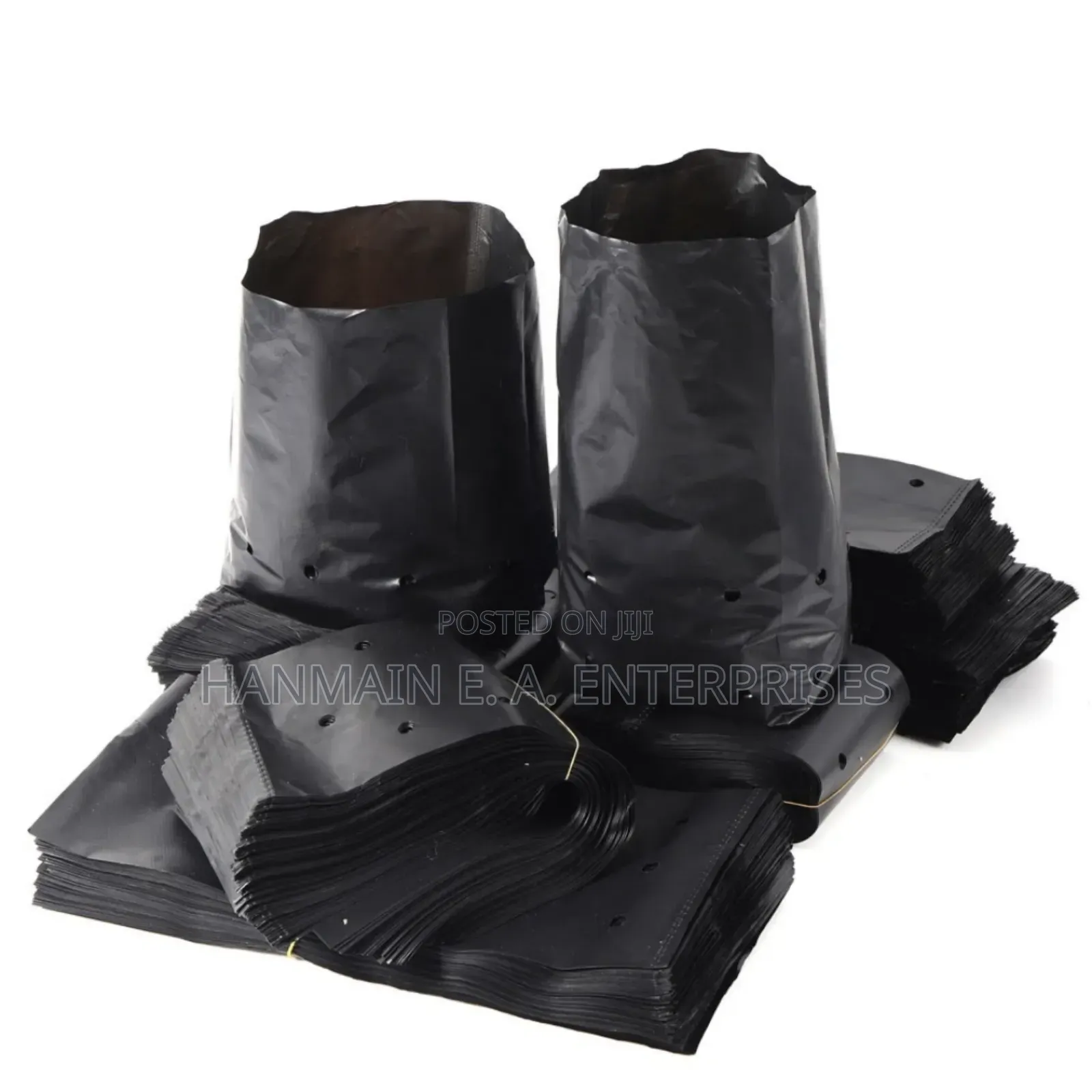 Seedlings Bags For All Trees Avocado, Coffee, Tea, Mango Etc