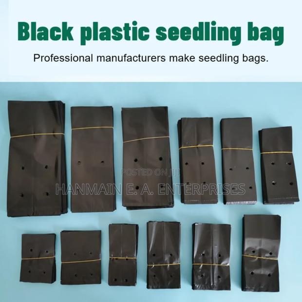 Seedlings Bags For All Trees Avocado, Coffee, Tea, Mango Etc - thumbnail 15