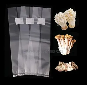 Mushrooms Fungi Growing Bags