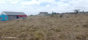 Kitengela Acacia