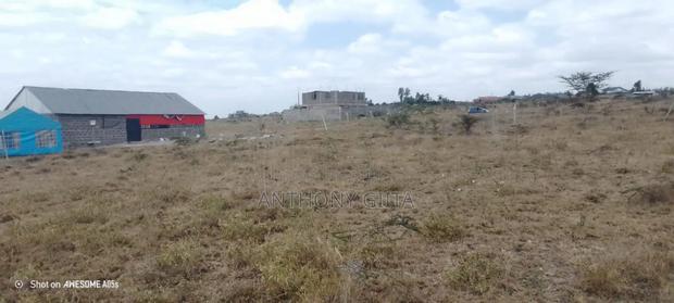 Kitengela Acacia - thumbnail 3