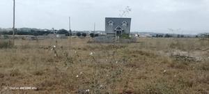 Kitengela Acacia - thumbnail 2