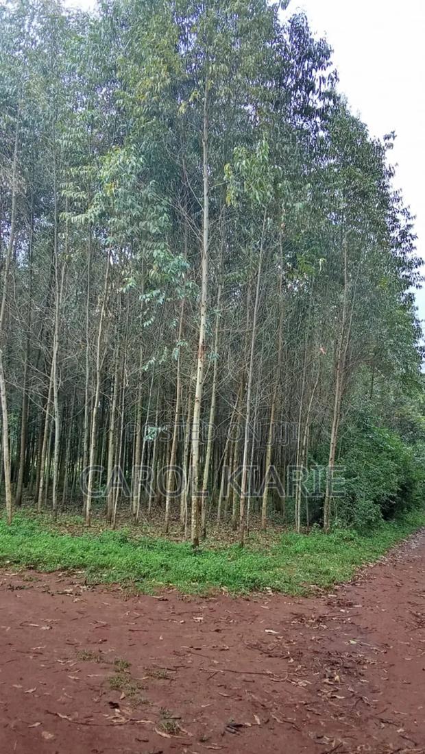 One Acre on Sale - main view