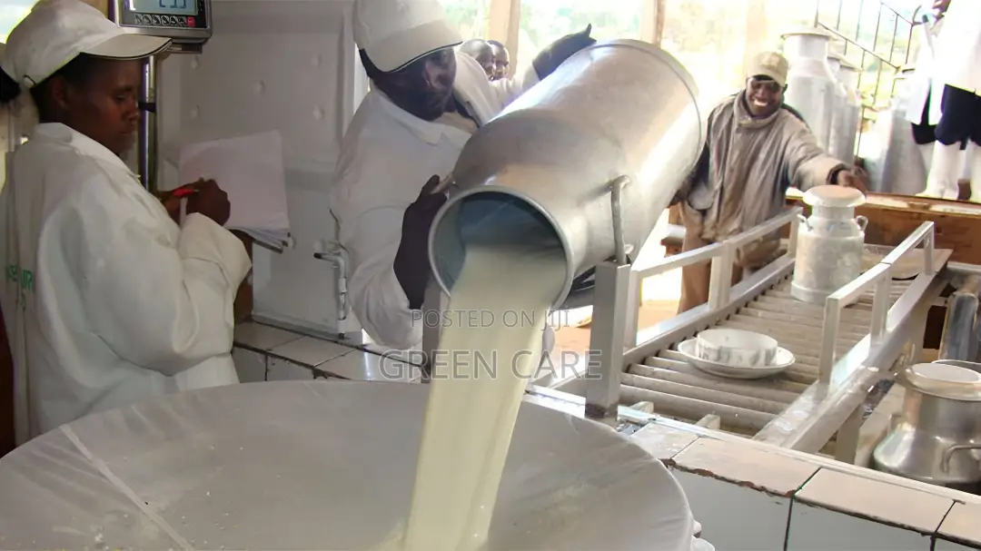 Dairy Processing Consultant