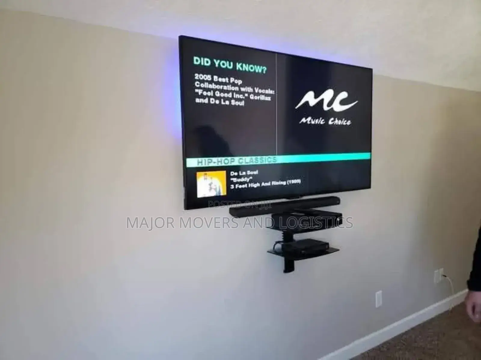 Chandelier Installation and Tv Mounting Services