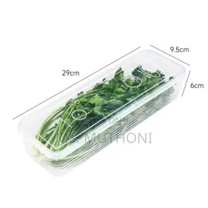 (2pcs ) Refrigerator Fresh Keeping Crisper Organizer W/Lid*