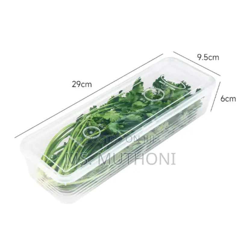 (2pcs ) Refrigerator Fresh Keeping Crisper Organizer W/Lid*
