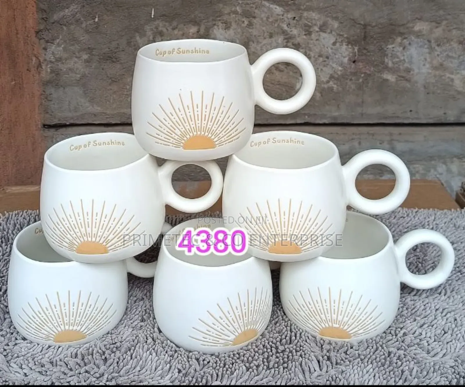 6pcs Pot Mugs