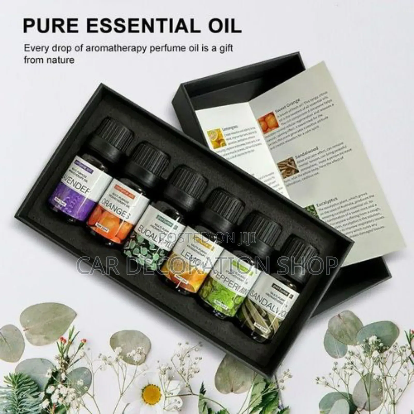 6pc Therapeutic Essential Oil Kit (10ml at