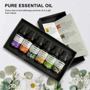 6pc Therapeutic Essential Oil Kit (10ml at - thumbnail 2