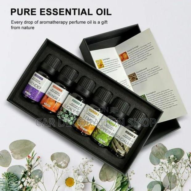 6pc Therapeutic Essential Oil Kit (10ml at - main view