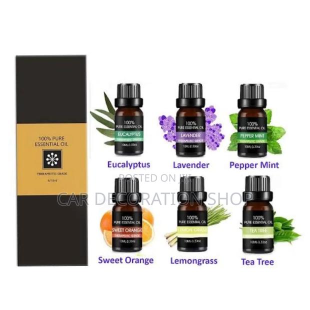 6pc Therapeutic Essential Oil Kit (10ml at - thumbnail 4