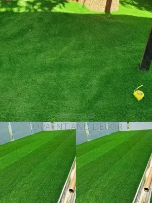 Artificial Grass Carpet for Both Schools Ground and Homes