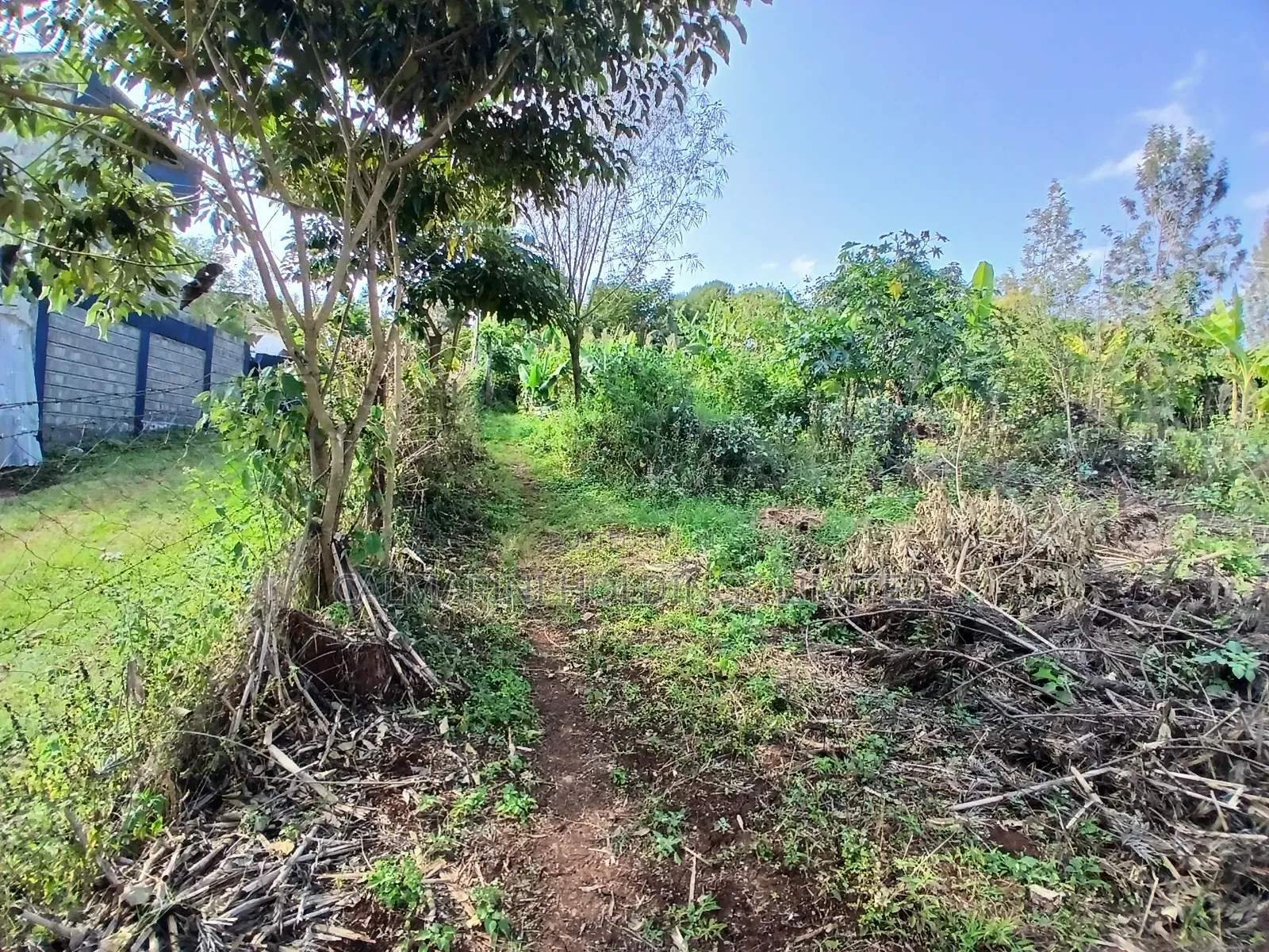 Distress Sale! 100 by 100 Redsoil Plot, Upper Matasia Ngong