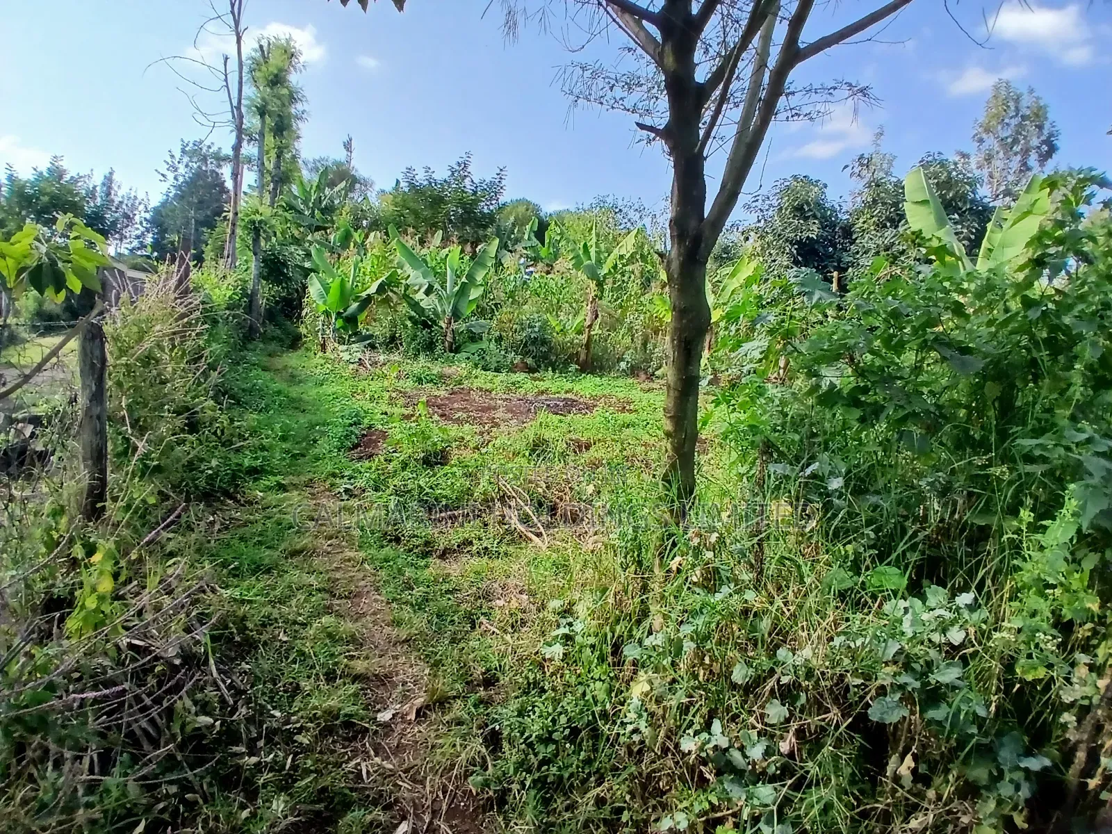 Distress Sale! 100 by 100 Redsoil Plot, Upper Matasia Ngong