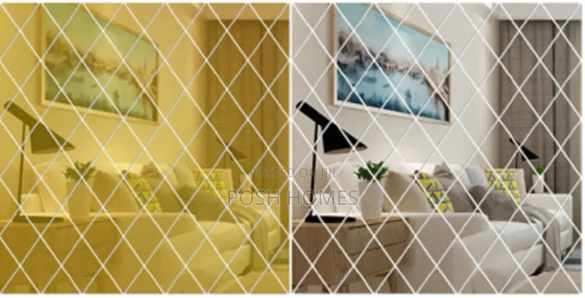 Silver Acrylic Stylish Mirrors