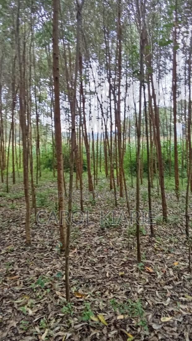 One Acre on Sale - thumbnail 3