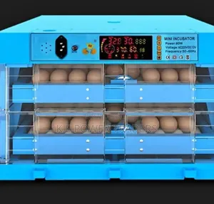 128 Egg Incubator