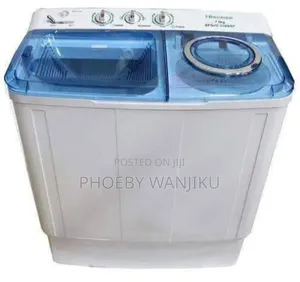 Top Load Twin Tub Washing Machine
