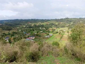 50 by 100 Plots for Sale in Rironi