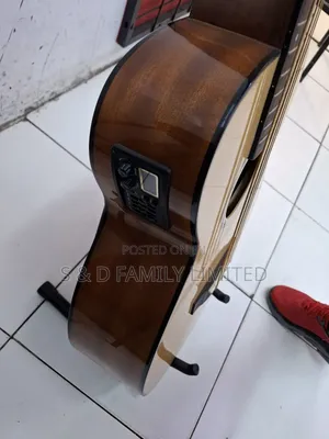 R-Empire 4 String Semi Acoustic Bass Guitar