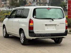 Toyota Probox 2020 Pearl