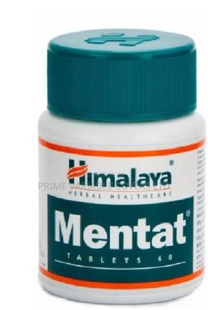 Mentat Is Designed to Support Memory, Focus, and Learning. - main view