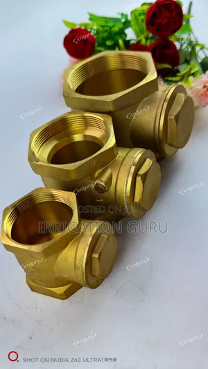 Heavy Duty NRV Fittings 75mm