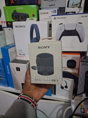 Sony SRS-Xb100 Wireless Speaker - main view