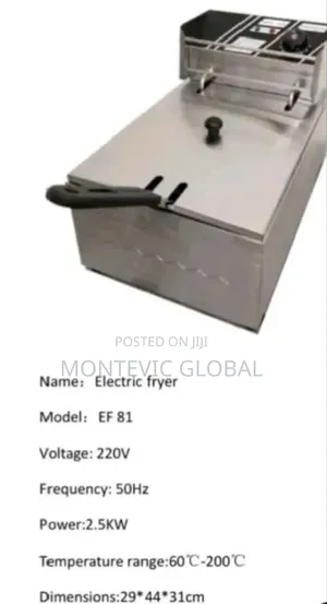 6litres Electric Fryer Single