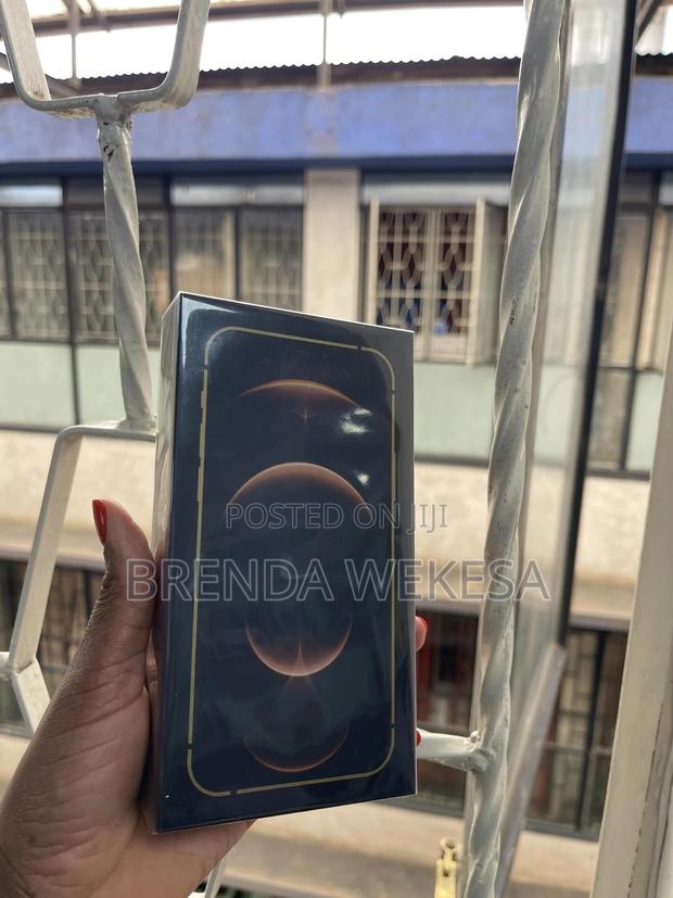 Apple iPhone 12 Pro 256 GB Gold - main view