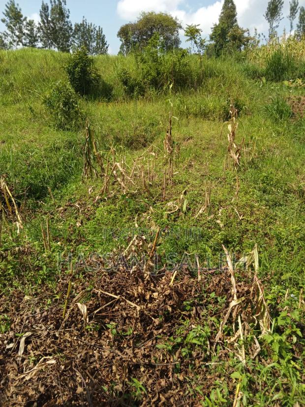 3acres Mumias East for Sale