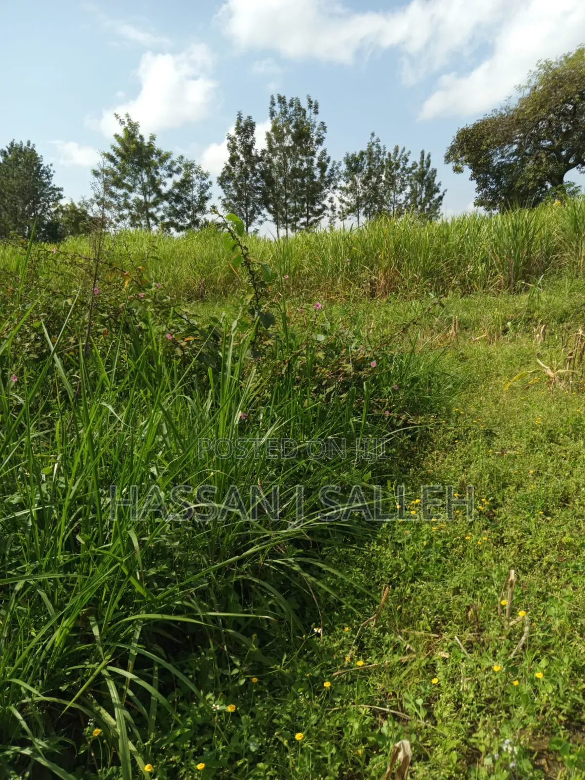 3acres Mumias East for Sale